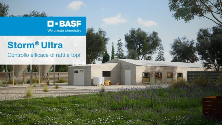 Da Basf, Storm Ultra, la nuova soluzione biocida per ratti e topi