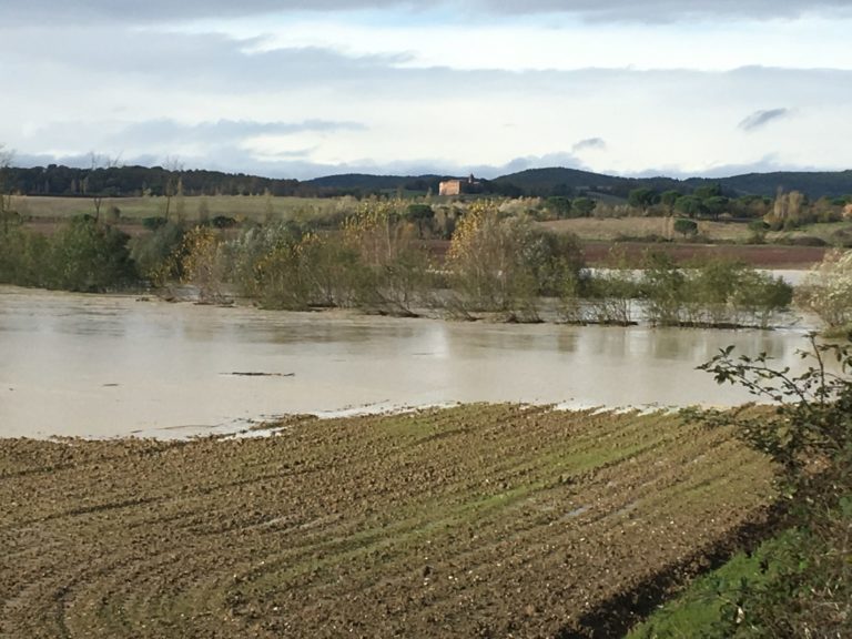 Maltempo. Milioni di danni nelle campagne: terreni sott’acqua, alberi e vigneti divelti