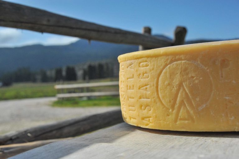 Consorzio Tutela Formaggio Asiago: riapre la stagione estiva dell’alpeggio nel segno della biodiversità