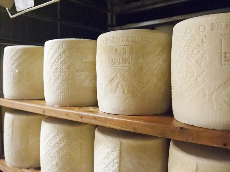 Latte ovicaprino. Per il pecorino romano aumenti di prezzo azzerati da record costi produzione