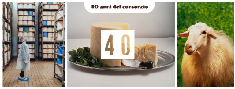 Pecorino Romano. 40 anni del Consorzio: il 20 giugno festa di compleanno su facebook