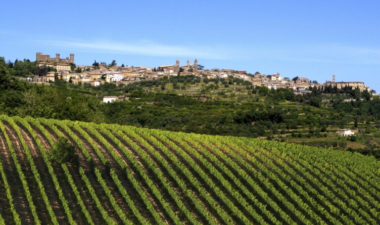 Il Paesaggio Vitivinicolo italiano al centro di un appuntamento a Trequanda (Si) il 7 settembre