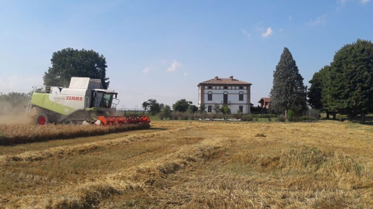 L’Imu per fabbricati collabenti non è da pagare. Il Mef accoglie le richieste di Confagricoltura