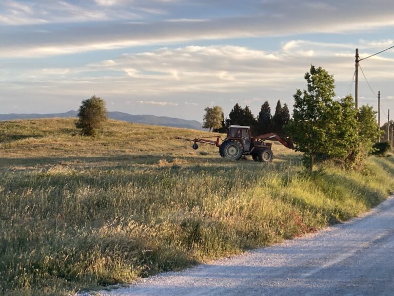 Decontribuzione filiere agroalimentari. Firmato il Decreto, Bellanova: disponibili 426 milioni, il 16 settembre imprese non pagheranno contributi previdenziali