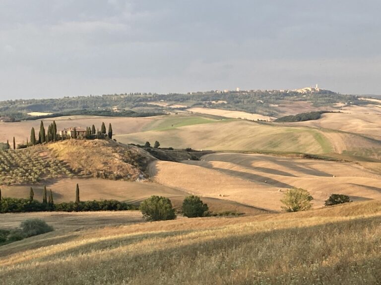 L’agriturismo del futuro visto da Agriturist. Incontro alla BTO di Firenze