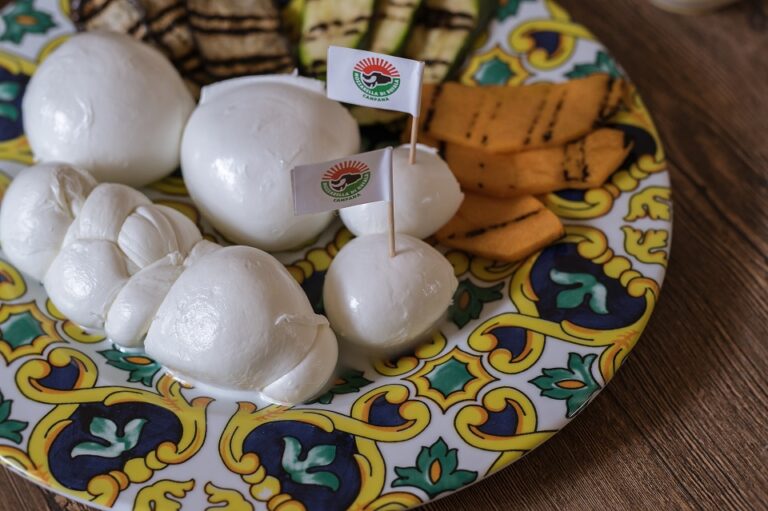 Mozzarella di Bufala Campana Dop. I quattro errori da evitare in un vademecum per il consumatore