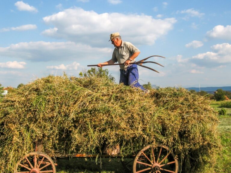 Dl Rilancio. Cia, si estenda esonero contributivo a lavoratori autonomi agricoli