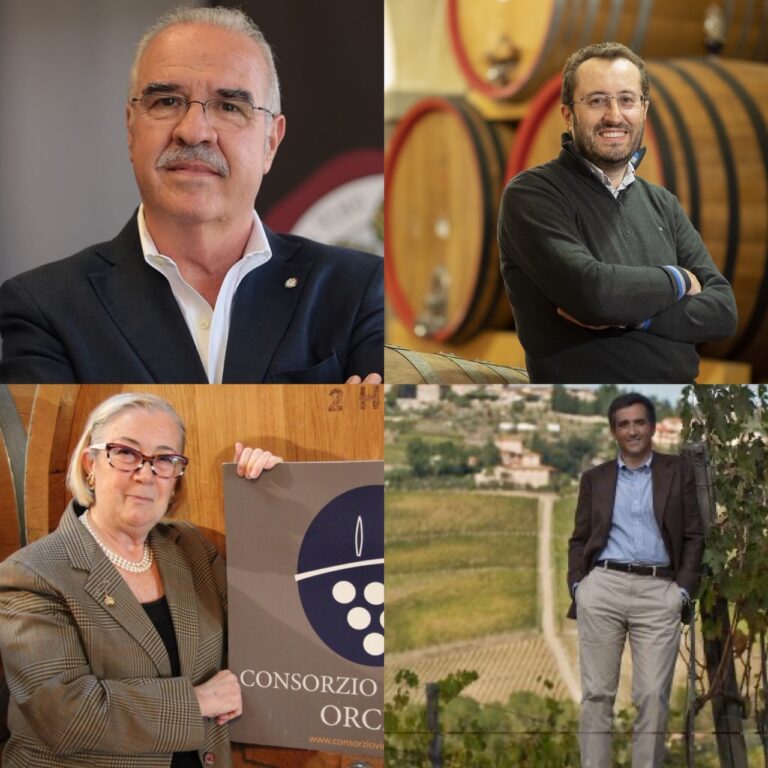 Vendemmia 2020. Ottima qualità delle uve per i grandi vini senesi, produzione in calo (10%). E col Covid c’è l’incognita manodopera