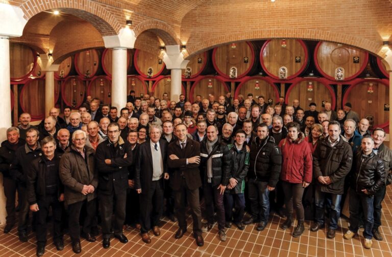 Cantina Valpolicella Negrar sul podio della migliore cooperazione vinicola italiana 2020