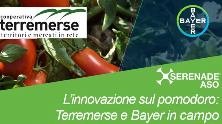 L’innovazione sul pomodoro. Video: webinar Terremerse-Bayer