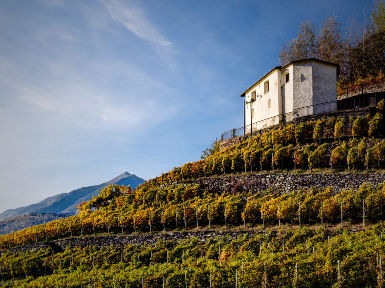 Paesaggi storici rurali. I Vigneti terrazzati del versante Retico della Valtellina inseriti nel registro