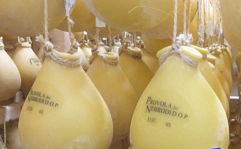 La Provola dei Nebrodi diventa DOP.  Eccellenza e tradizione siciliana dal gusto unico