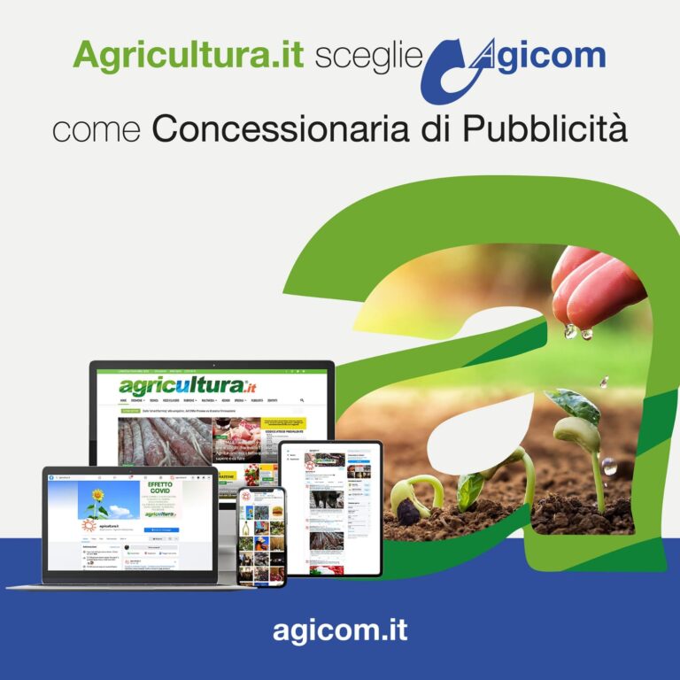 Business development. Nuova partnership commerciale tra Agricultura.it e AGICOM Agency