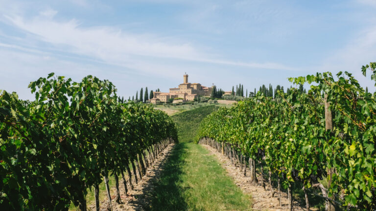 Nasce il Banfi Brunello Ambassador Club. Ambasciatori da tutto il mondo, in Italia dal 2021