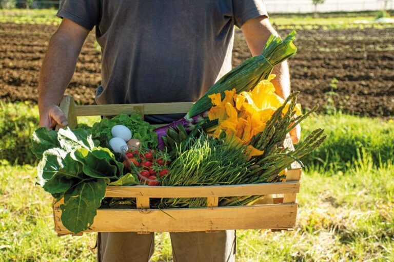 Agricoltore custode. Cia: bene riconoscimento agricoltori come custodi di territorio e ambiente