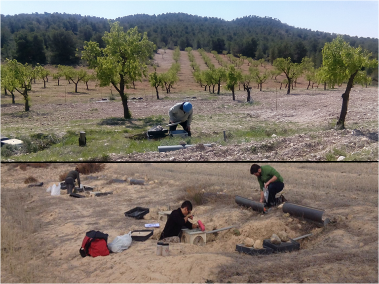 Le pratiche agricole sostenibili salvano i suoli del Mediterraneo. Progetto Diverfarming per evitare erosione e deflusso