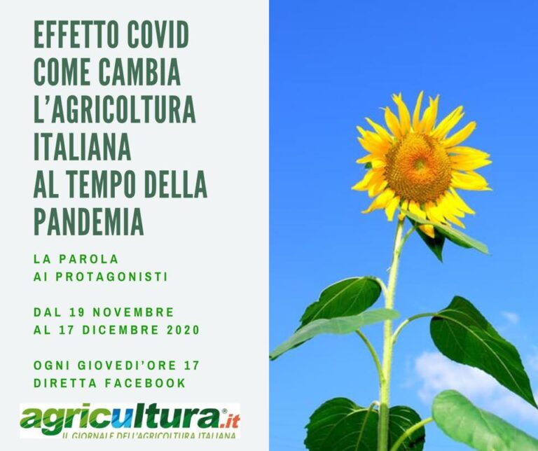 Effetto Covid, come cambia l’agricoltura italiana al tempo della pandemia. La parola ai protagonisti