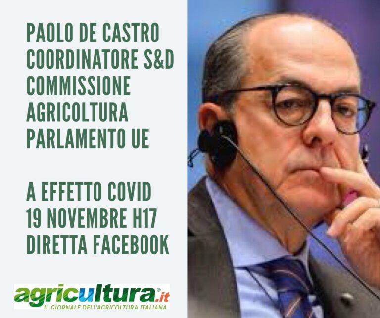 EFFETTO COVID. Al via il nuovo format di agricultura.it con PAOLO DE CASTRO. Diretta web Giovedì 19 novembre, ore 17