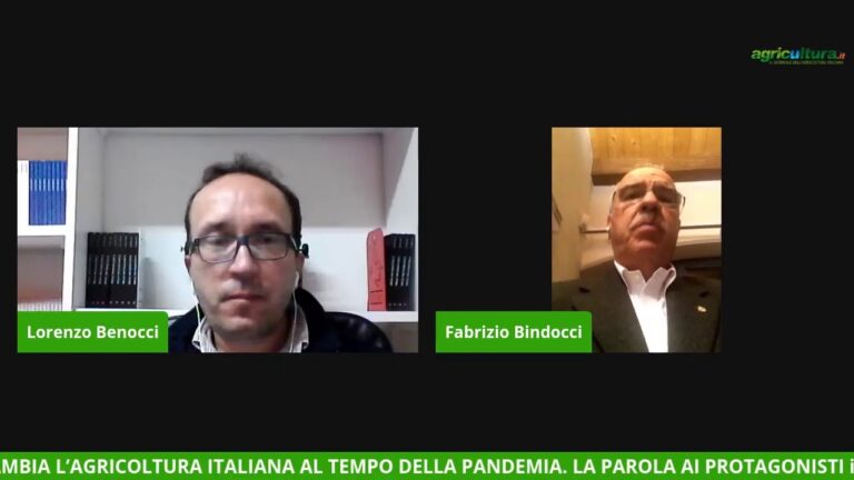 Brunello di Montalcino, brand mondiale oltre la pandemia. A EFFETTO COVID il presidente del Consorzio Bindocci: non abbiamo abbassato la guardia, 2021 all’attacco