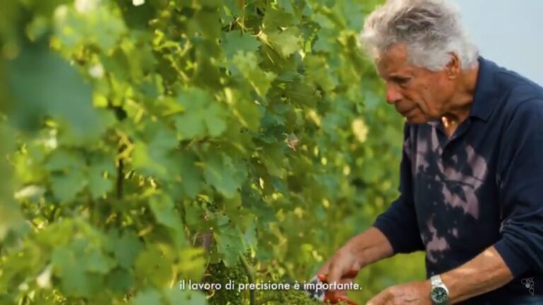 I pionieri della viticoltura dell’Alto Adige finiscono in un documentario