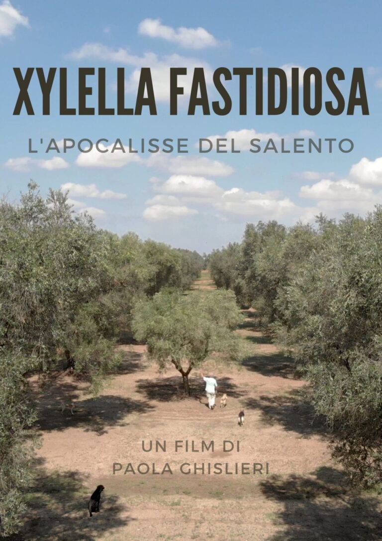 The apocalypse of Salento. Nel doc di Paola Ghislieri il reportage sulla Xylella fastidiosa