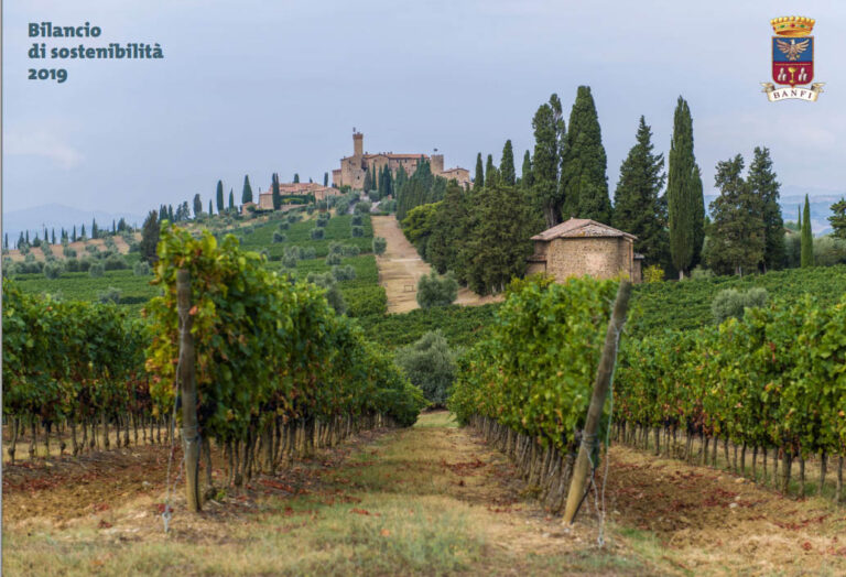 Banfi, Bilancio di Sostenibilità 2019. Strumento fondamentale per la valorizzazione del territorio