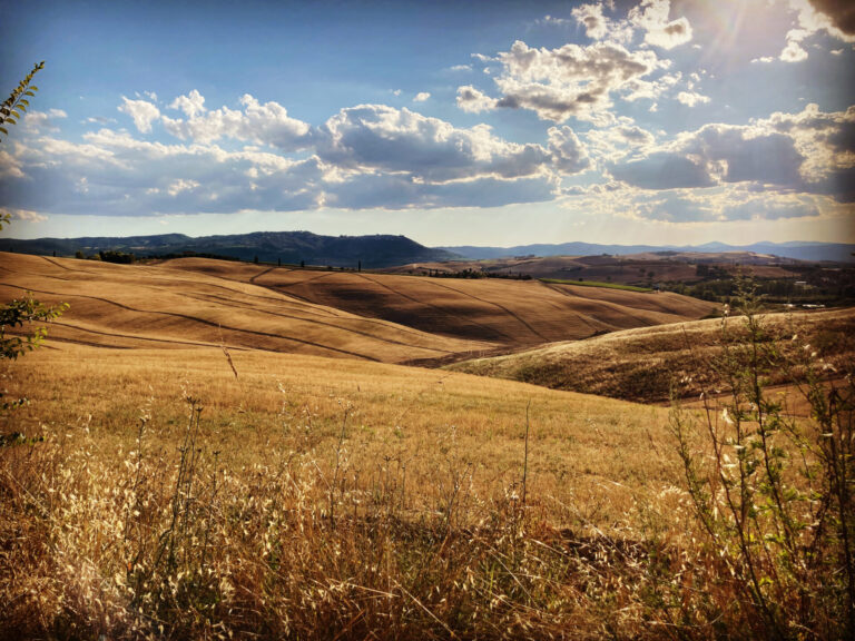 Istat, è partito il 7mo Censimento dell’Agricoltura. Cosa c’è da sapere e a chi rivolgersi