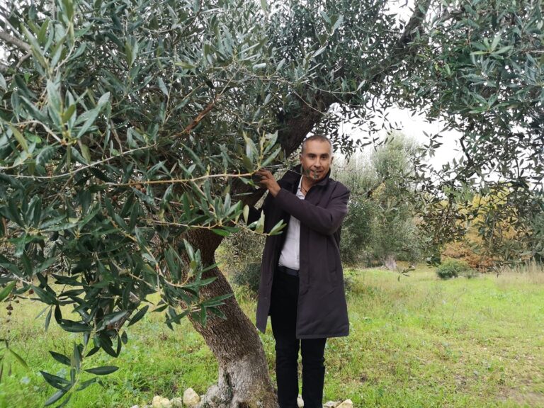 Salva Conte e sogna il ministero dell’agricoltura. Ecco Lello Ciampolillo il vegano, negazionista della xylella