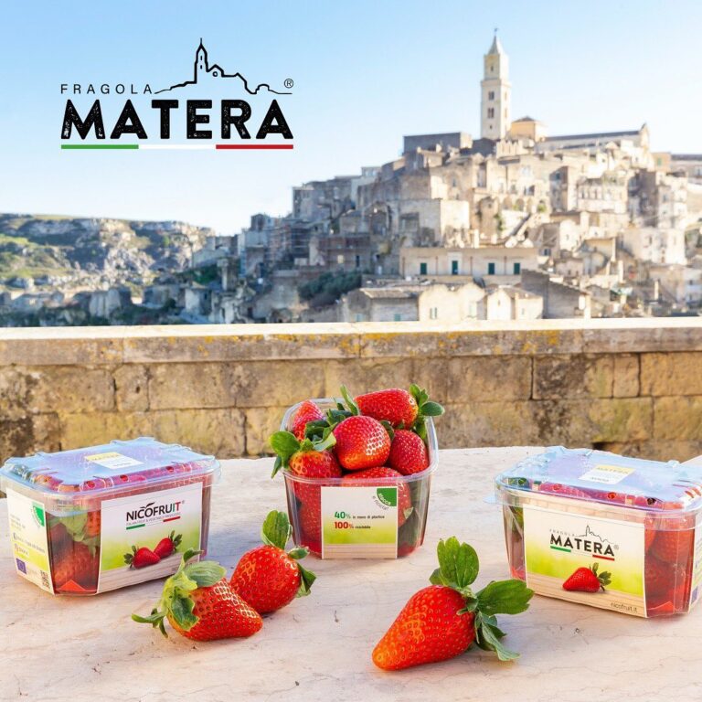 La Fragola Matera si presenta. Nicodemo (Frutthera Growers): è la sintesi della fragolicoltura lucana