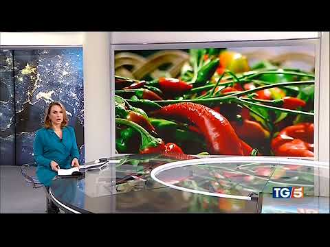 TG5 – Peperoncino italiano di qualità schiacciato dalla concorrenza a prezzi stracciati della Cina