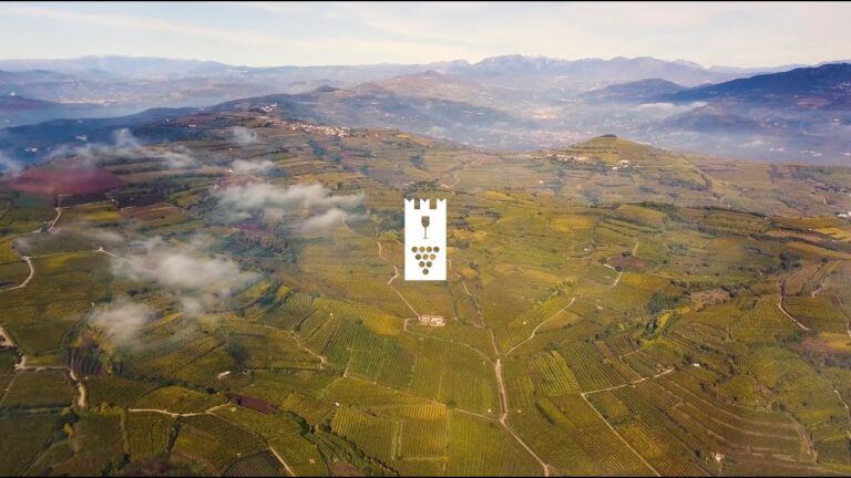 Soave terroir. I volti dei produttori protagonisti di un territorio di qualità