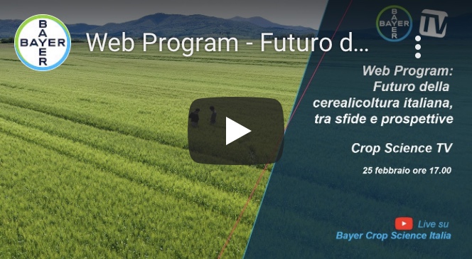 Il futuro della cerealicoltura italiana, tra sfide e prospettive. Il web program di Bayer Crop Science Italia