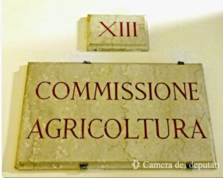 Commissione Agricoltura della Camera: tutti i nomi della XIX Legislatura