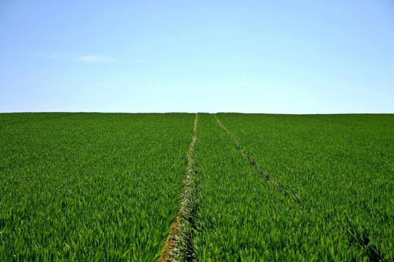 Il SIPA diventa legge. Facilitazione in arrivo per gli agricoltori e la presentazione delle domande di aiuto