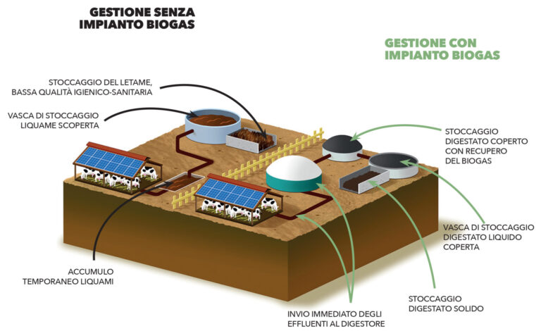 Gestione degli effluenti d’allevamento. Prosegue Farming for Future del Consorzio Italiano Biogas