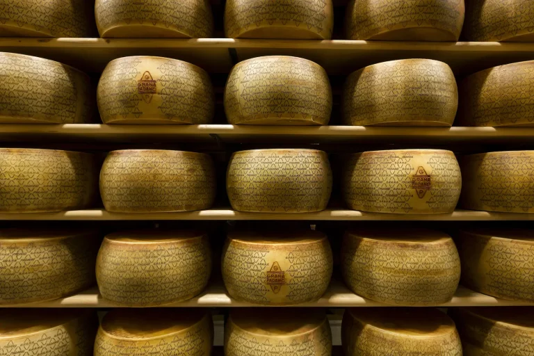 Consorzio Grana Padano e Mynet guardano al futuro. Siglata convenzione per rendere il digitale più veloce nelle aziende