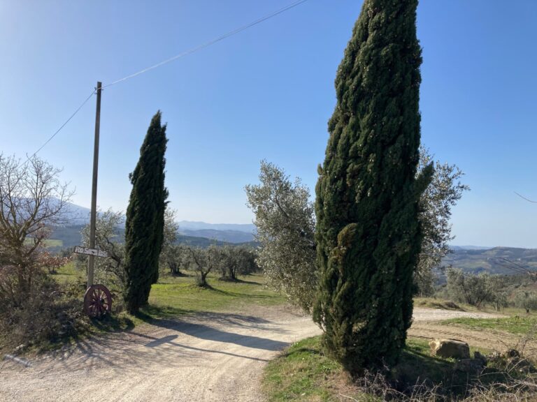 agriturismo_campagna