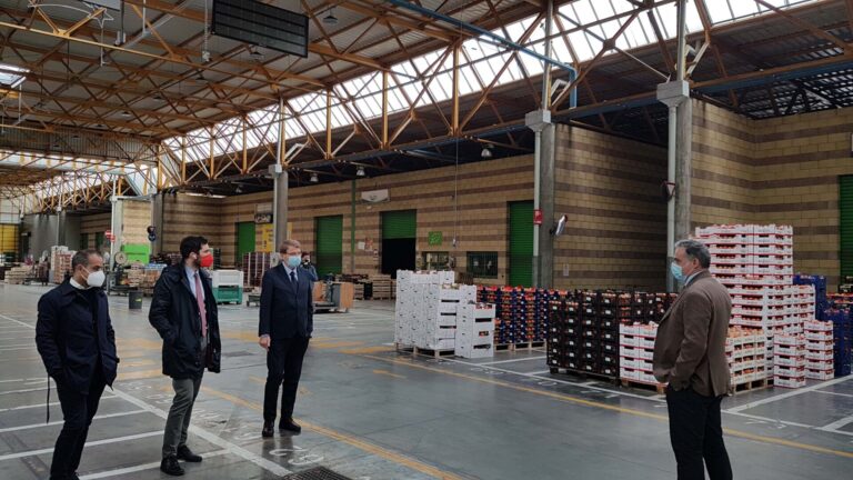 Restyling per il Mercato Ortofrutticolo Cesena, intervento da oltre 1 milione di euro