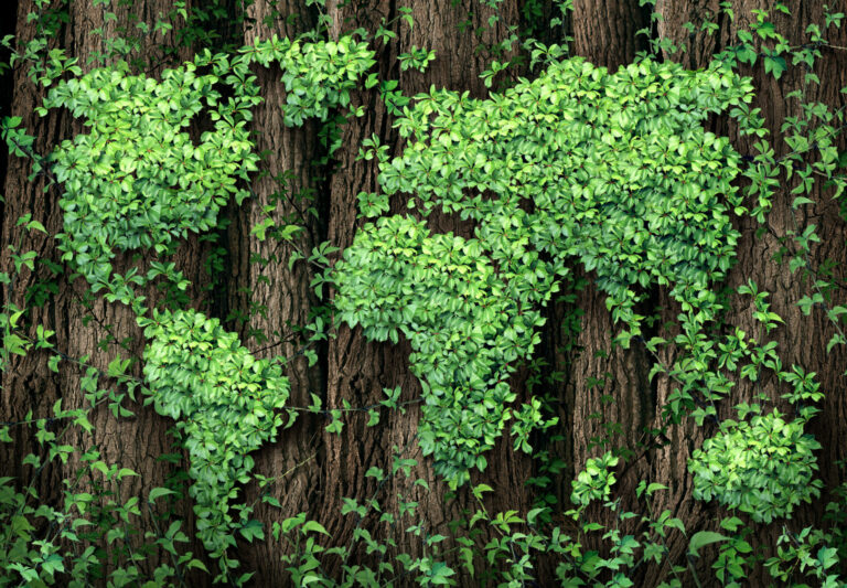 Nasce oggi la Foresta Bayer Italia per celebrare la Giornata mondiale della Terra. Piantati 1650 alberi