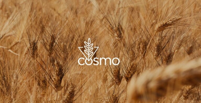 Progetto COSMO, la filiera del grano monococco in Sicilia dalla produzione primaria alla trasformazione