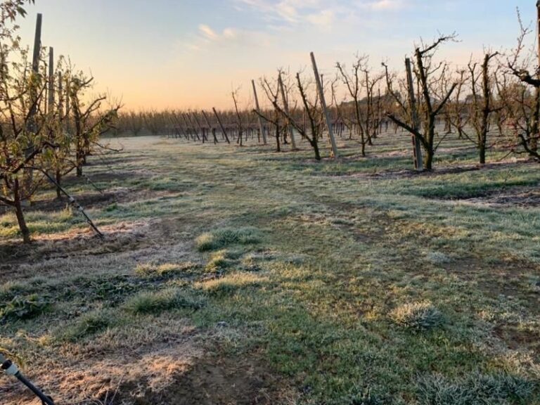 Assicurazioni maltempo. La Francia vara un nuovo sistema per proteggere gli agricoltori dai rischi climatici