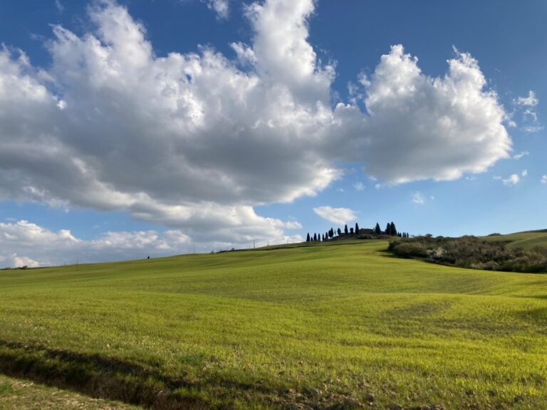 valdorcia_grano_campagna