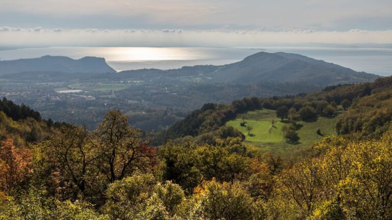 Bardolino. Istituite ufficialmente le sottozone Montebaldo, La Rocca e Sommacampagna