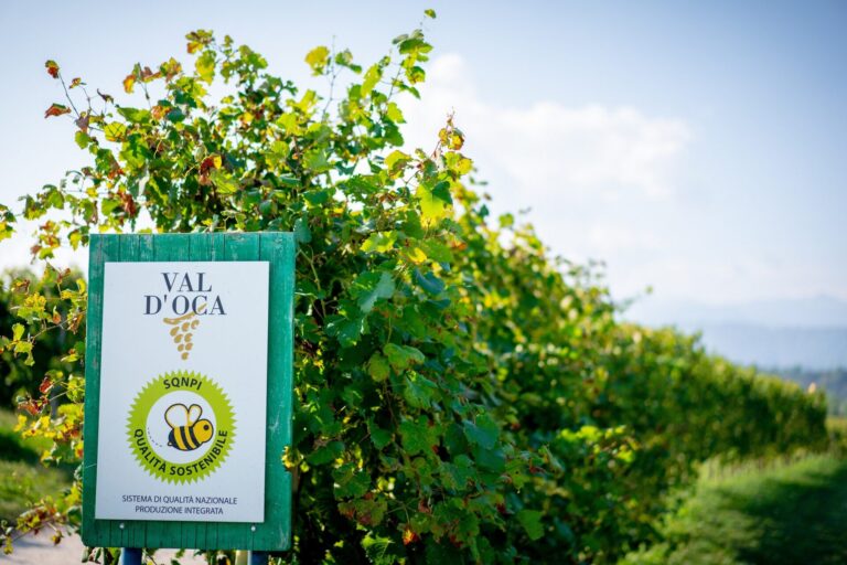 Obiettivo 1000 ettari per la certificazione Sqnpi della cantina produttori Valdobbiadene