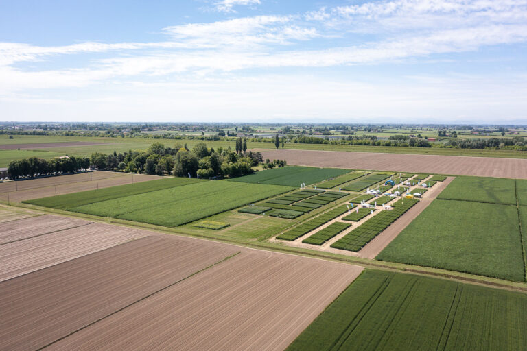 Shock in aumento. Martina (Fao): riorganizzare i sistemi agricoli