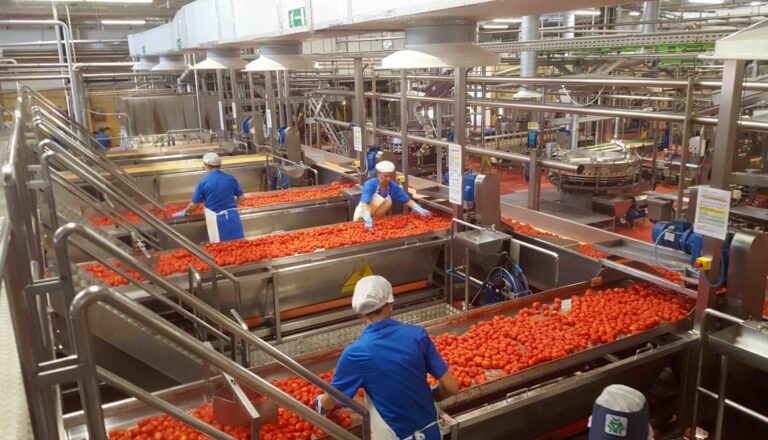 Pomodoro da industria. Tavolo di filiera, Ingiustificata la rigidità della parte industriale