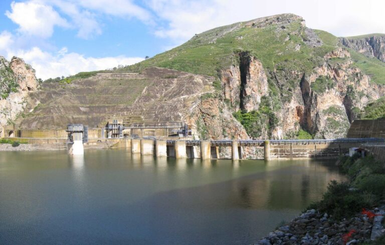 La Regione Sicilia dichiara lo stato di calamità per l’emergenza idrica: stalle senza foraggio verde, colture senza acqua