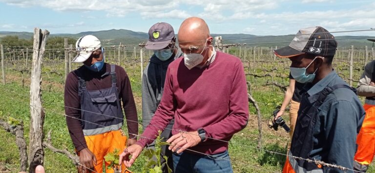 Formazione e inclusione tra le vigne del Brunello per 24 migranti. Impareranno a potare vite e olivo