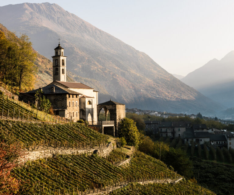 Mangiar per vigne in Valtellina. Pranzo fra i vigneti di Nebbiolo sabato 19 giugno