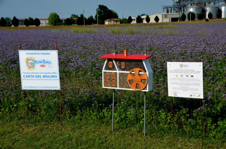 Clima. Consorzi Agrari d’Italia (CAI) e Mulino Bianco insieme per la salvaguardia di circa 3 milioni di api